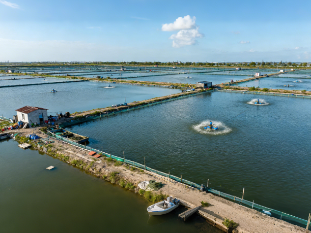 水產(chǎn)品抗生素檢測儀