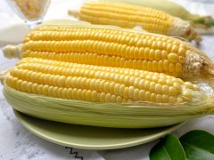 水果玉米產(chǎn)地農(nóng)殘檢測用蔬菜農(nóng)藥檢測儀器 水果玉米產(chǎn)地農(nóng)殘檢測用蔬菜農(nóng)藥檢測儀器