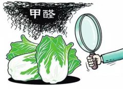 食品甲醛檢測儀在食品安全檢測中的應用 食品甲醛檢測儀在食品安全檢測中的應用