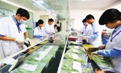 農(nóng)殘快速檢測儀品牌哪個好 農(nóng)殘快速檢測儀品牌哪個好